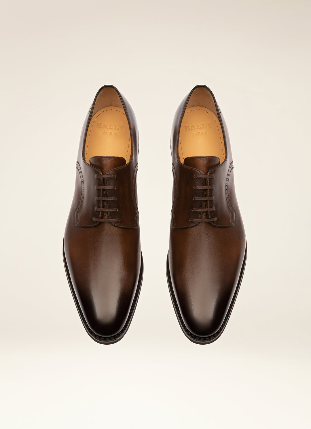 Scrivani Leather Derby Shoes in Brown